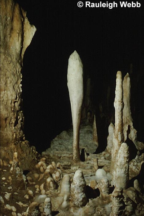 A water washed stalagmite called "The Club" from a now dry cave.  - Eneabba
