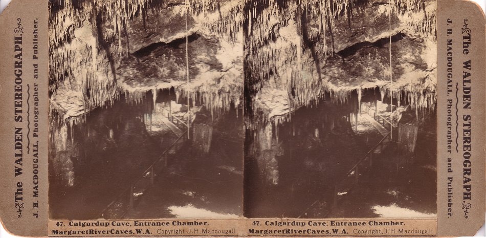 Entrance Chamber Calgardup Cave in the early 1900's. Note the long straw or calcified tree root in the photo. No longer present in the cave. - JHA MacDougall's Stereographs
