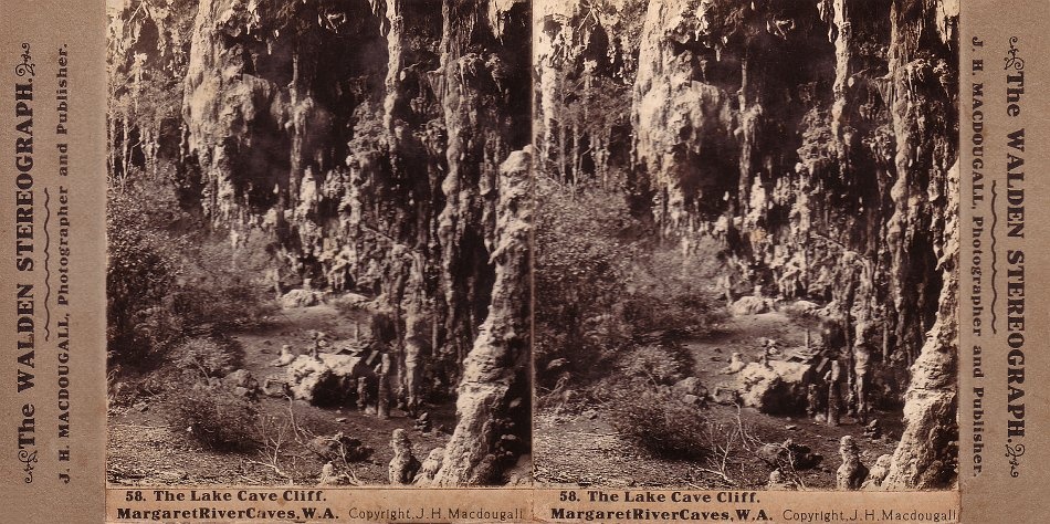 Inside the Lake Cave doline. - JHA MacDougall's Stereographs