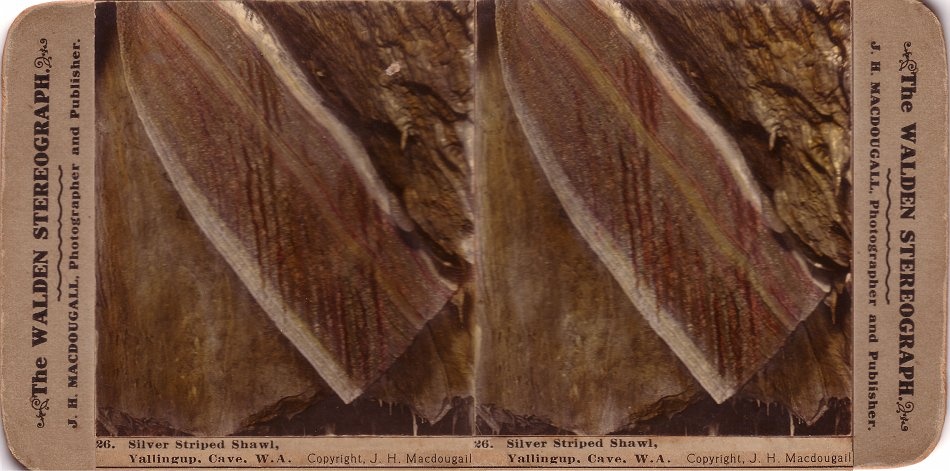This is a hand coloured photo but gives the viewer a good idea of the colour in the shawls, Yallingup Cave, WA. - JHA MacDougall's Stereographs