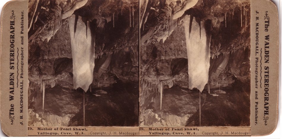 An excellent photo of the "Mother of Pearl" shawl in Yallingup Cave. - JHA MacDougall's Stereographs