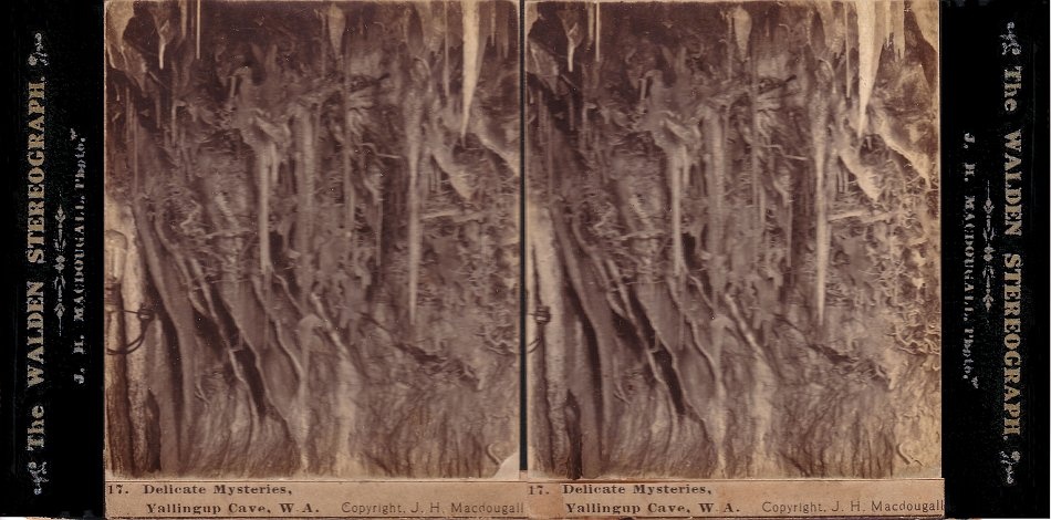 Helicites in Yallingup Cave, WA. A recent comparision photo would be useful to see what damage may have occurred in over 100 years. - JHA MacDougall's Stereographs