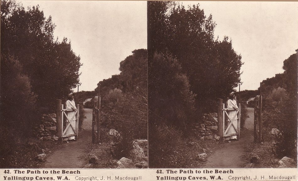 An interesting photo of a woman on the path to the beach. This is probably the path from Caves House to the beach.
 - JHA MacDougall's Stereographs