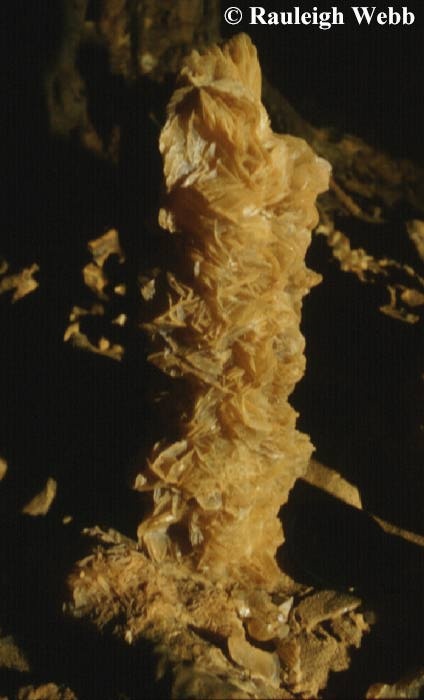 A small gypsum stalagmite. Note the gypsum plates that make up the stalagmite and the lens cap hiding at base of the "mite" for scale. - Nullarbor - Gypsum