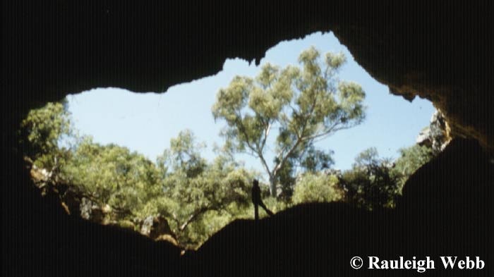 Deliberate Damage to Stockyard Gully